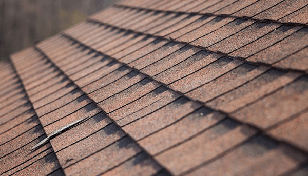 Asphalt Shingle Roofing System Georgetown